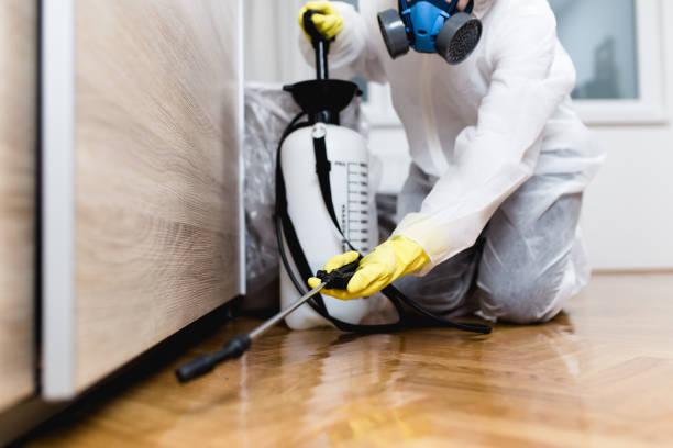 Best Cockroach Control Services  in Chesapeake, OH