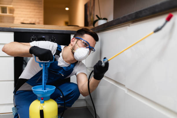 Best Emergency Pest Control  in Chesapeake, OH