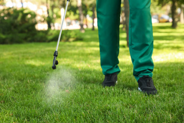 Best Mosquito Control Services  in Chesapeake, OH
