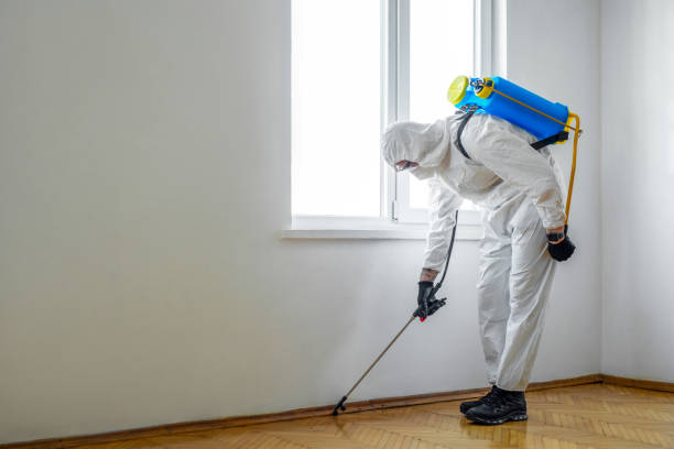 Wildlife Control Services in Chesapeake, OH