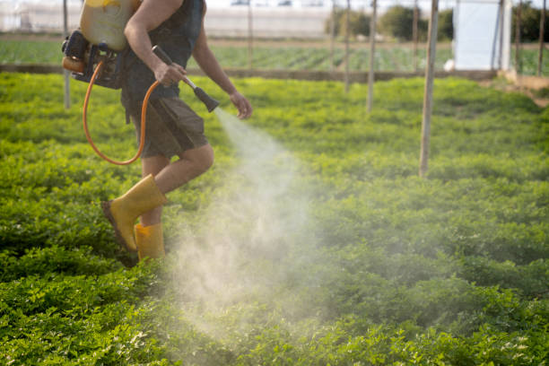 Best Residential Pest Control  in Chesapeake, OH