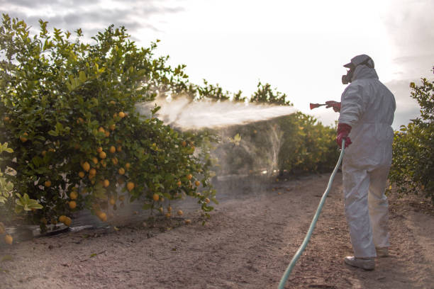 Best Pest Prevention Services  in Chesapeake, OH