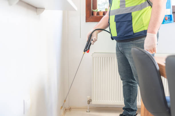 Wasp Removal Services in Chesapeake, OH