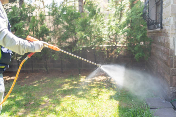 Reliable Chesapeake, OH Pest Control Solutions