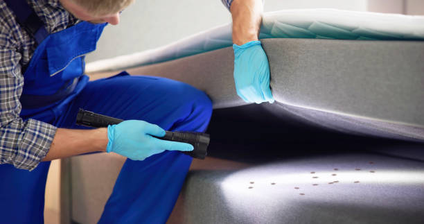 Best Local Pest Control Services  in Chesapeake, OH