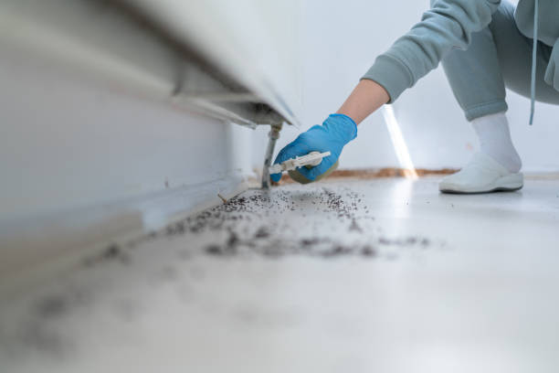 Best Wildlife Control Services  in Chesapeake, OH