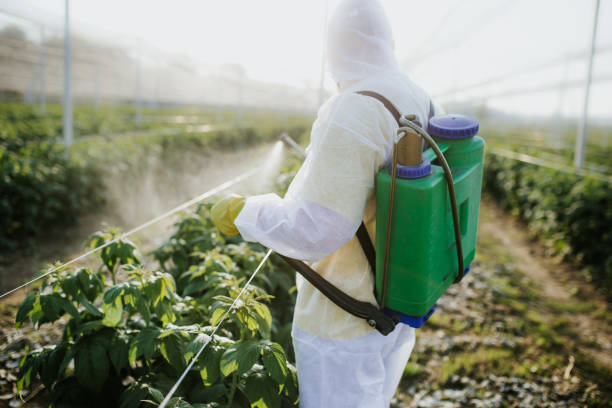 Pest Control for Restaurants in Chesapeake, OH